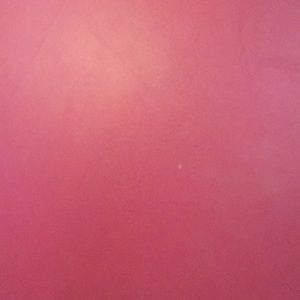 Meet your Posher, Brigitte